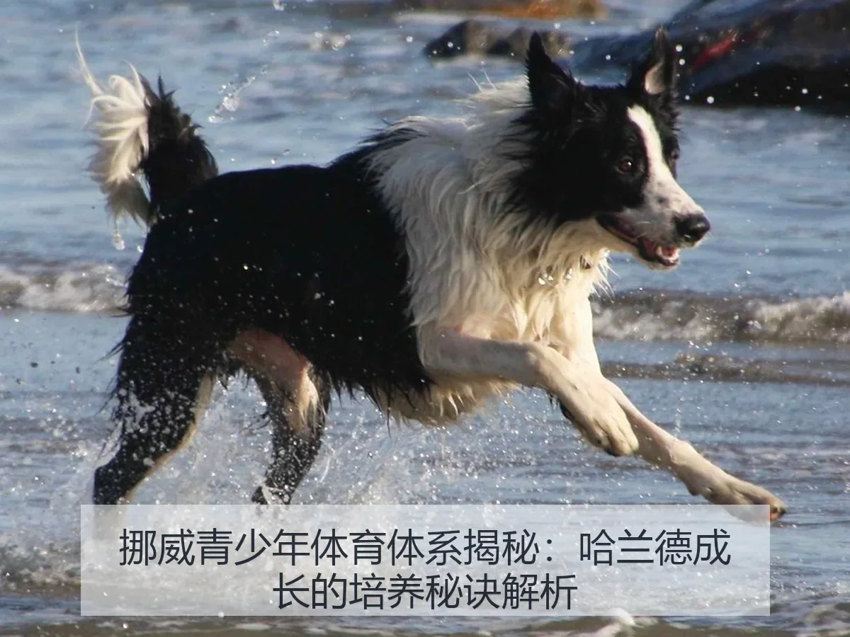 挪威青少年体育体系揭秘:哈兰德成长的培养秘诀解析